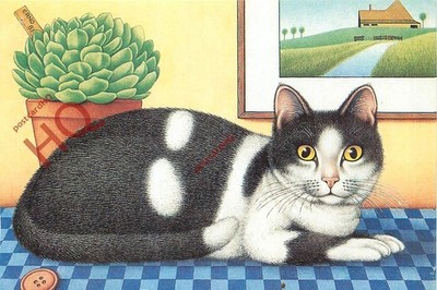 Ansichtskarte, Katze, Erno Tromp