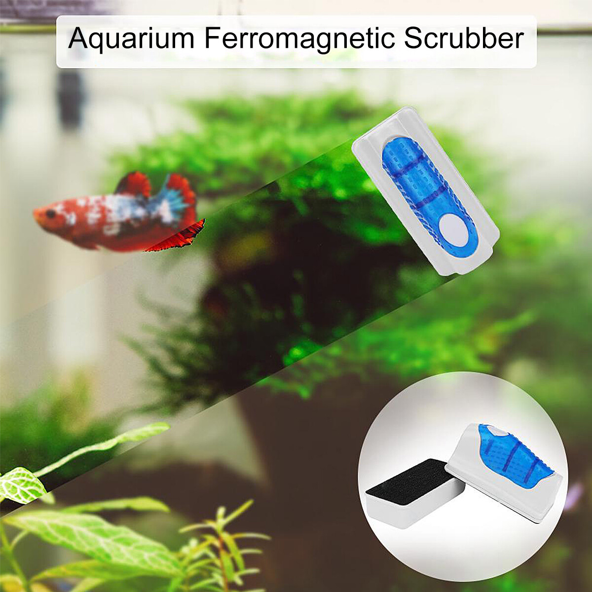Fish Tank Brush Algae Aquarium Glass Aquatic Cleaner