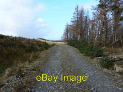 Photo 6x4 Kilcreggan- Barremman, Gare Loch Forestry Track Cove/NS2282 Th c2007