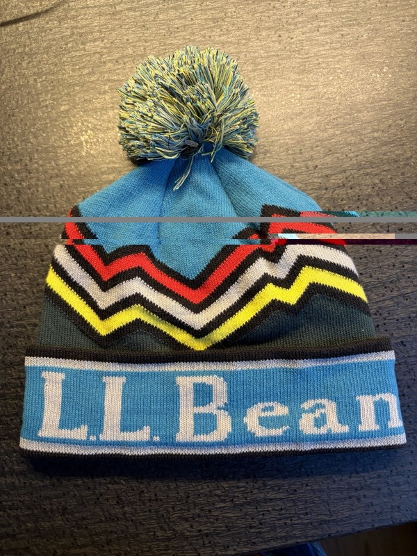 L.L. Bean Beanie NWT OSFA