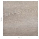 Bild 249 von 487