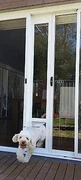 Temporary Pet Door In Perth Region Wa Gumtree Australia Free