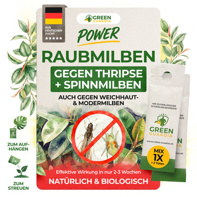 Raubmilben MIX gegen Thripse & Spinnmilben, 1 bis 50 Tüten, Green Guardia , BIO