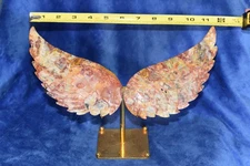 Crazy Lace Agate Angel Wings Hand Carved
