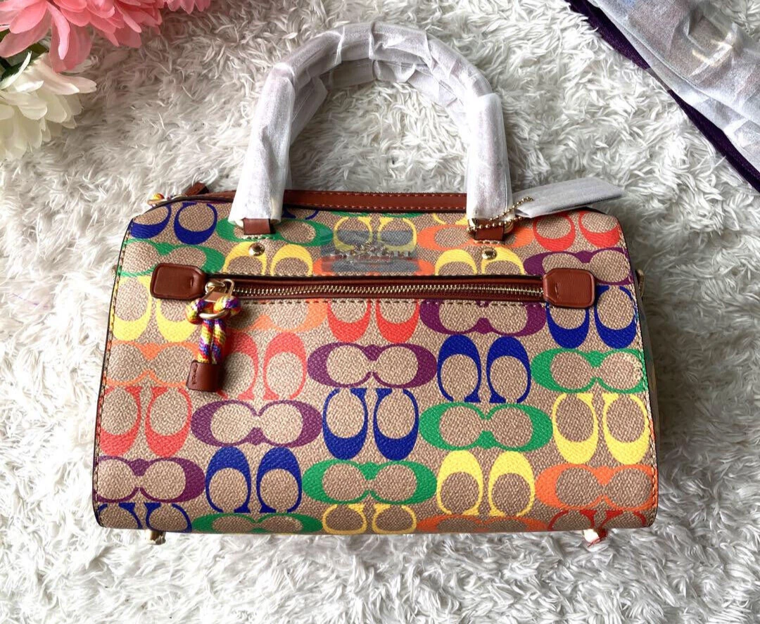 Rainbow clearance coach bag