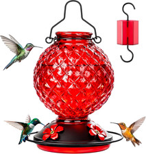 Outdoor Glass Hummingbird Feeder, 25 OZ with Bee Guards and Ant Moat, Red
