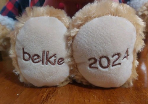 belkie bear 2024 - Picture 2 of 2