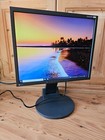 19" Eizo FlexScan S1901 Computer Monitor PC Bildschirm einstellbar Schwarz Black