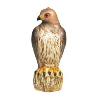 Bird-b-gone Red Tailed Hawk Decoy Mmrth1 Bird-b-gone Red Tailed Hawk Decoy Mmrth1