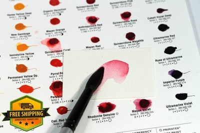 DANIEL SMITH Watercolor 66-Dot Try-It Card Multi Color 001900501