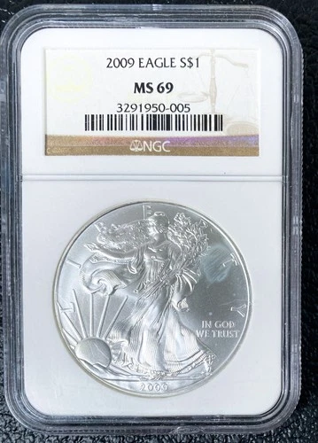 2009 $1 - 1OZ American Silver Eagle NGC MS69 Brown Label SLABBED & GRADED!
