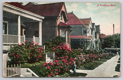 #ad 1916 Lompoc CA Residential Street Houses Rose Bushes O. Newman Postcard $15.00
