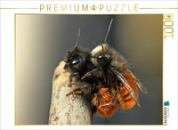 Calvendo Puzzle Horned Mason Bees (Osmia Cornuta) Mating | 1000 Pieces, Finished