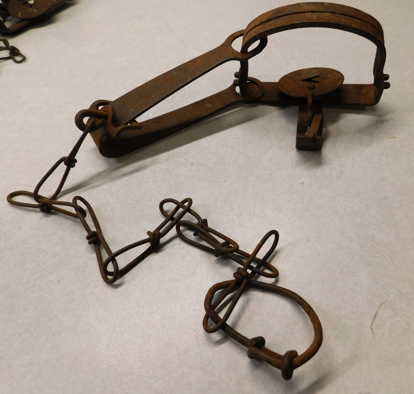 Victor 1 Longspring Traps (8) Muskrat trap, Mink Victor Oneida eBay