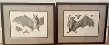 Antique Bat Scientific Lithograph Prints? Framed 19th-C. Zoological Illustration