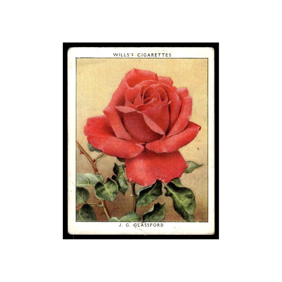 3 roses cigarettes Provence Slim Herbal - Cherry Rose FAQ