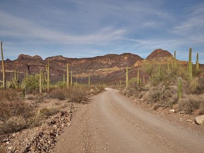 Organ Pipe Cactus National Monument Arizona Sonora 2018 Saguaro Desert Road