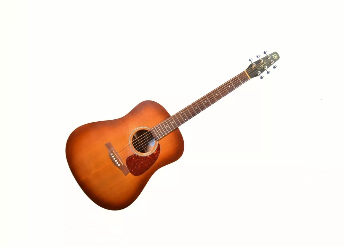 Seagull entourage sale rustic acoustic guitar