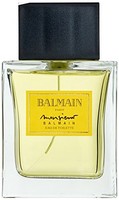 Balmain Monsieur Eau De Toilette Spray For Men 100 Ml Balmain Monsieur Eau De Toilette Spray For Men 100 Ml