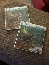 Scenic Ceramic Coasters With Moose
