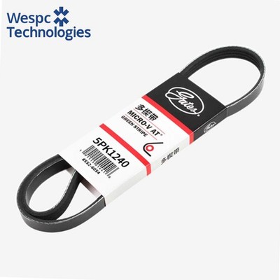 Genuine Gates 5PK1240 Drive Belt For Southeast Lanser Fendis EX Opel Veda
