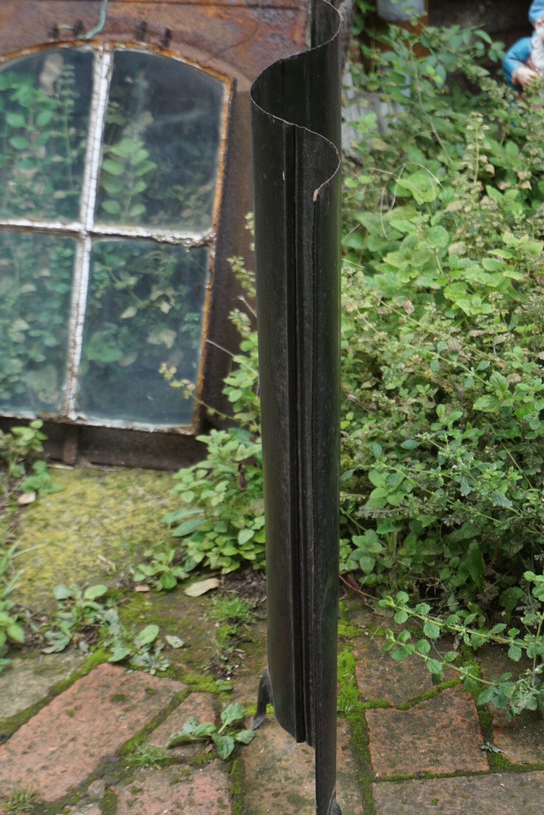 Bild 3 von 12