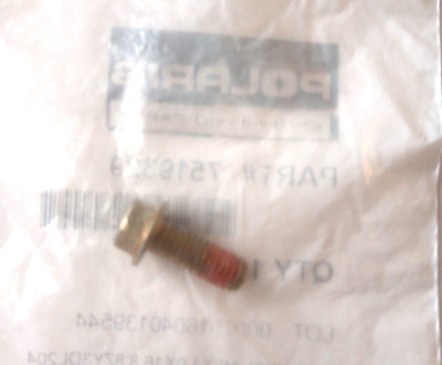 Polaris RZR, Ranger, Outlaw Hex Flange Screw NOS 7519329 (L-5694
