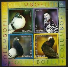 Romania 2005 MNH SS, Pigeons Birds  
