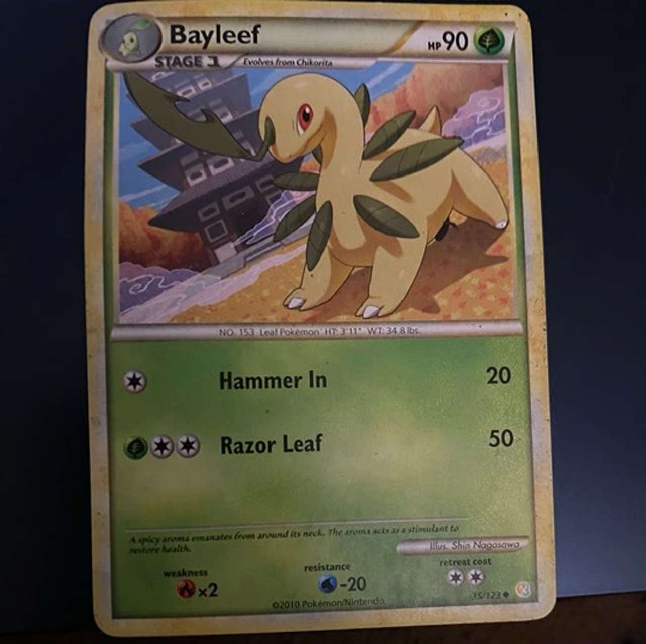 Pokemon Bayleef 