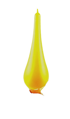 Kerze Formkerze Lampenkerze naturell Farbe lakiert Geburtstag Deko günstig