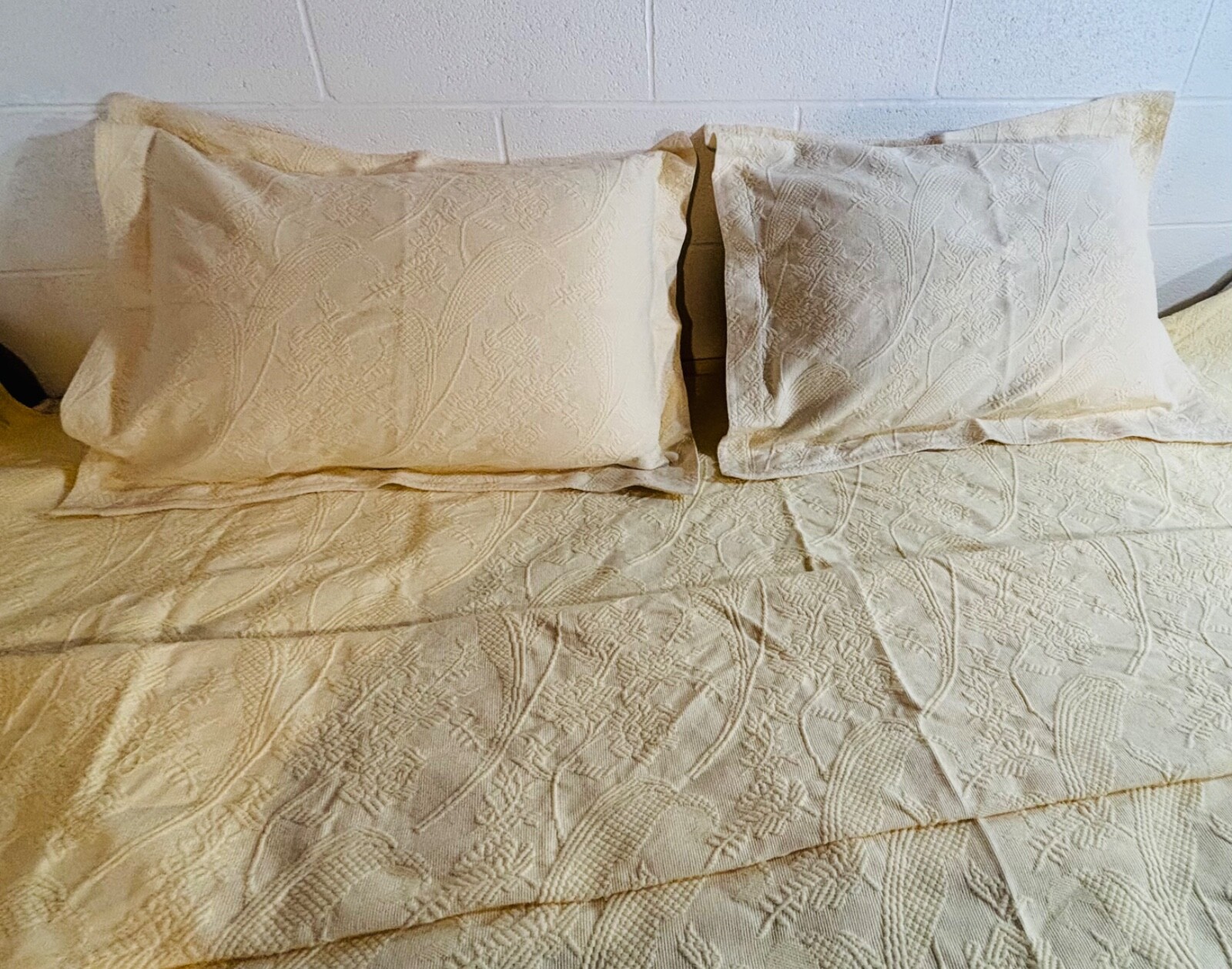 Picture 2 of 21