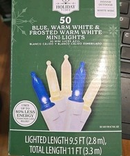 50-Count Blue, Warm White, Frosted White LED Mini Christmas Lights w White Wire