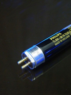 PHILIPS BLB 6 UV-Röhre 6W 22cm Schwarzlicht