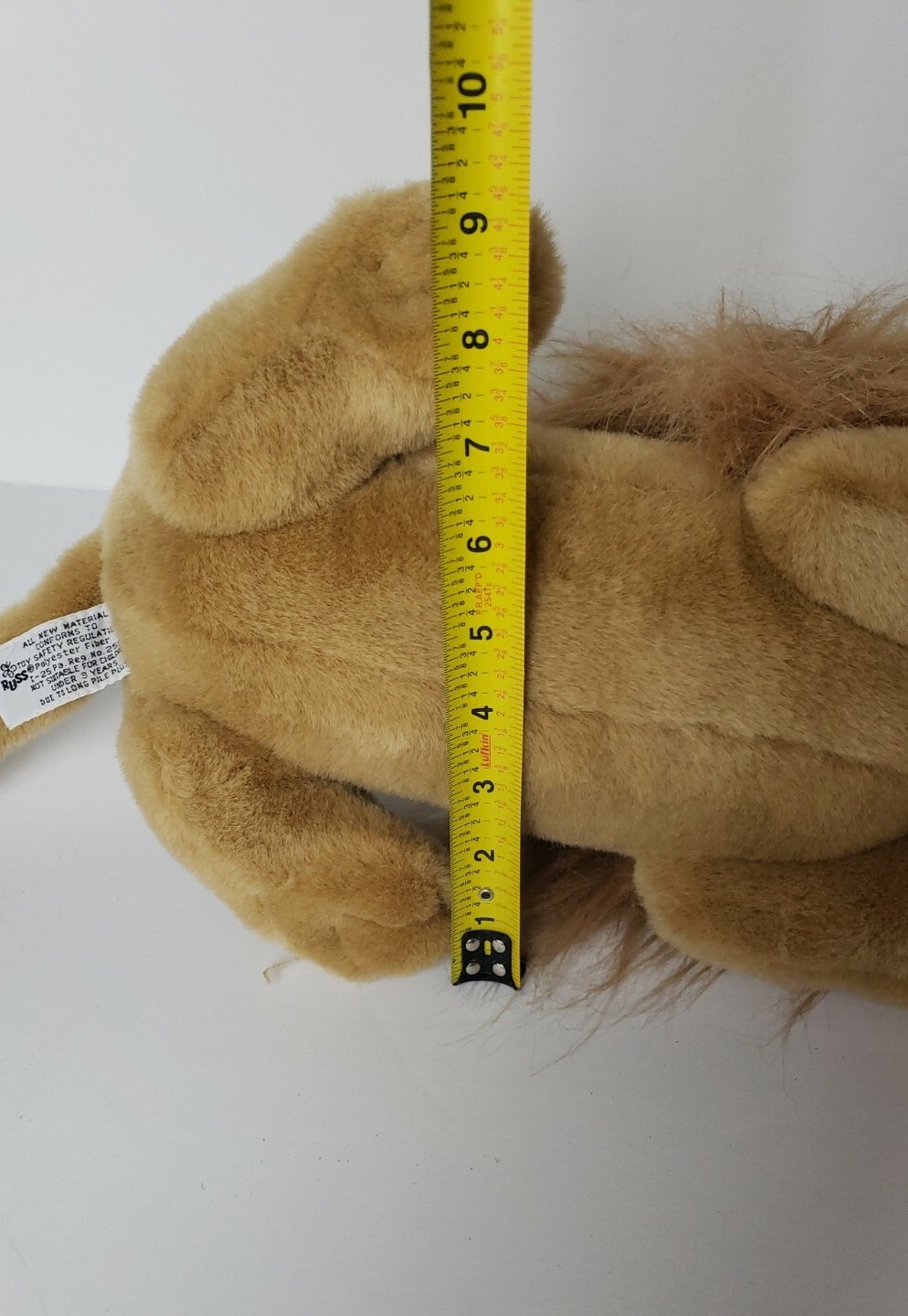 Picture 17 of 19