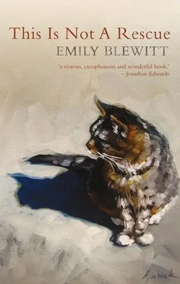Emily Blewitt | This Is Not a Rescue | Taschenbuch | Englisch (2017)