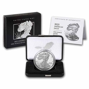 2025 Silver | eBay
