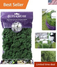 Beautifully Preserved 2oz Reindeer Moss - Forest Green for Decorating  Crafts