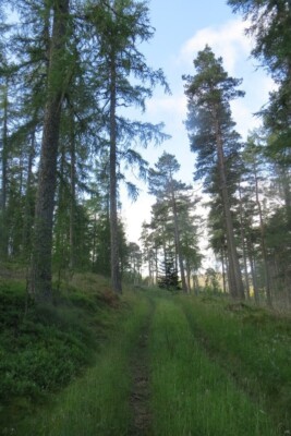 Photo 6x4 Oops, wrong turn Spital Cott An alternative road over Spital Hi c2015