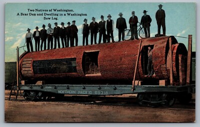 Two Natives Of Washington, A Bear Den And Dwelling In A Washington Saw Log.