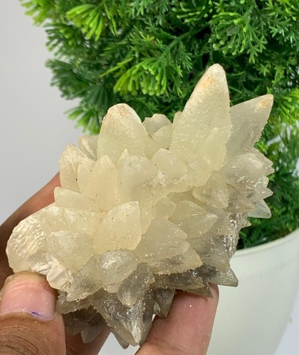 113Grams Natural Dog Tooth Calcite Terminated Crystal Specimen From Pakistan - Picture 3 of 20