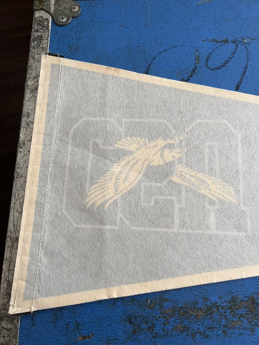 Pennant In Feltro Coppin State Eagles – 12x30 Pollici, Blu, NCAA, College Flags And Banners Co.