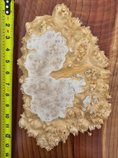 Live Edge Maple Wood Burl Slab