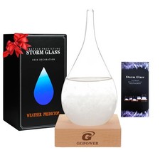 Storm Glass Weather Predictor,Christmas Unique Gifts, Christmas Snow Globe Ba...