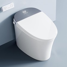 Smart Toilet with Bidet Filtered Water Cleaning Instant Warm Water  Heated Seat