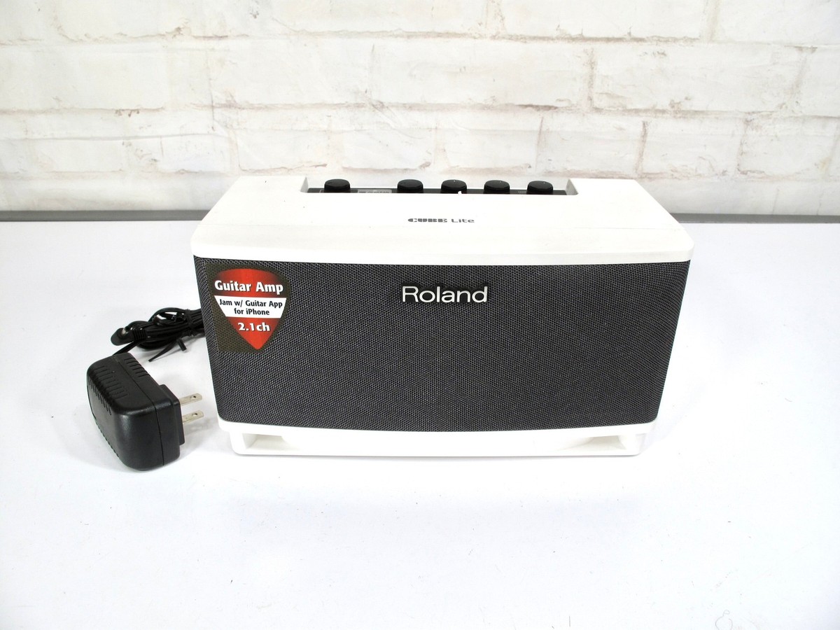 Roland CUBE Lite オーディオアンプ Cube Lite 10 Watt Stereo Amp - Perfect Circuit