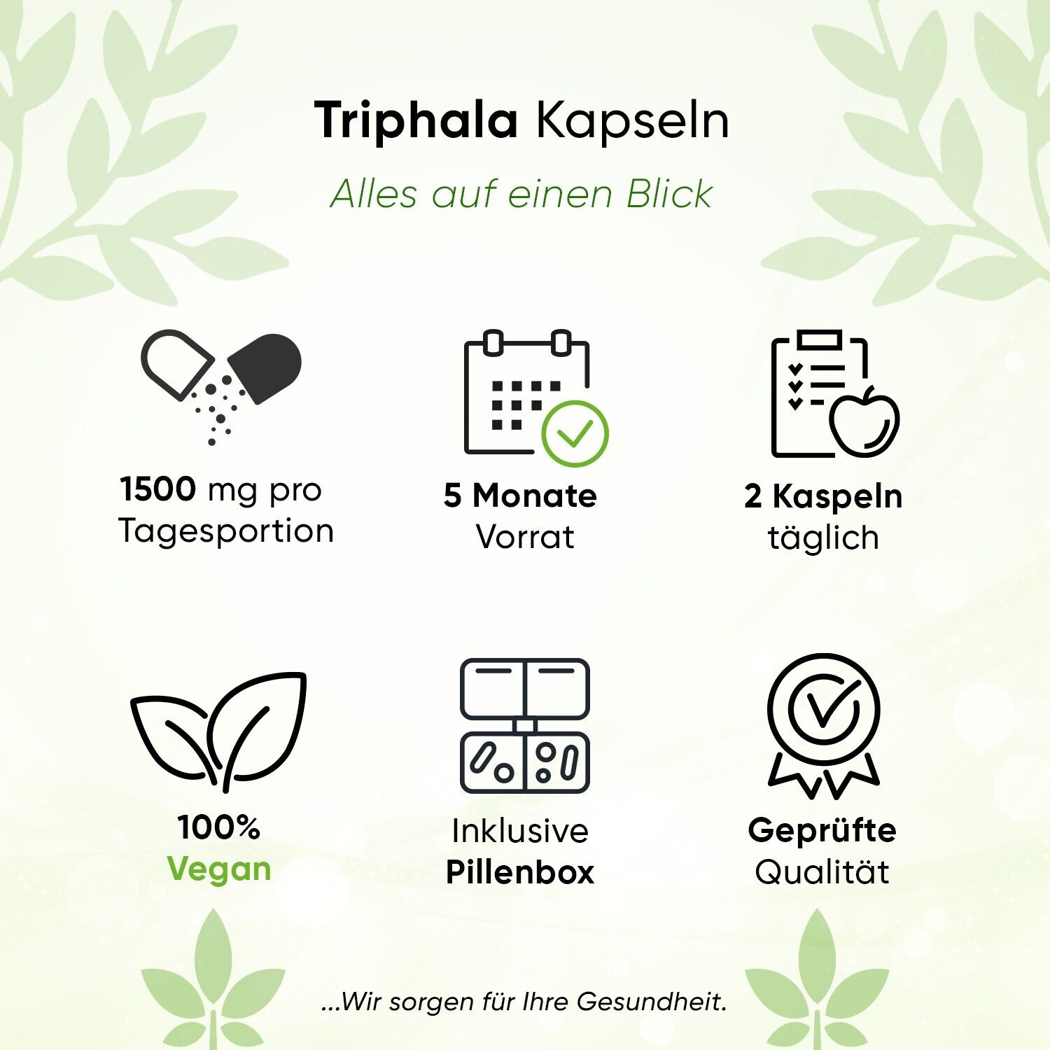 Bild 2 von 6