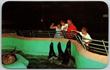 Sea Lions, Deer Forest, Paw Paw Lake, Coloma, Michigan - Postcard