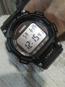 casio vibration alarm