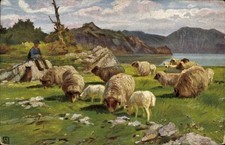 Künstler Ak Hirte mit Schafherde am See, Schäfer, Hund - 4594495