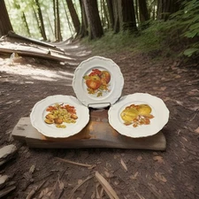 Lot of 3 Winterling Bavaria 7.5” Salad Dessert Decor Plate Fruit Western Germany